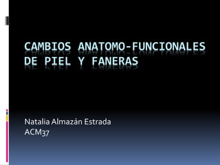 CAMBIOS ANATOMO-FUNCIONALES
DE PIEL Y FANERAS
Natalia Almazán Estrada
ACM37
 