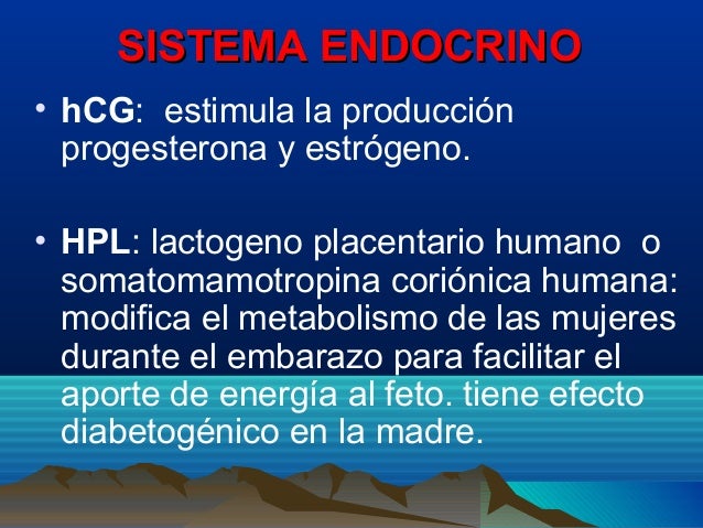 Cambios anatomofisiologicos en_la_gestante_1_2_ (1) (1)