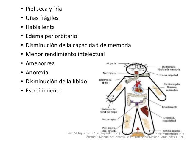 Cambios anatomofuncionales del Sistema Endocrino en el Adulto Mayor