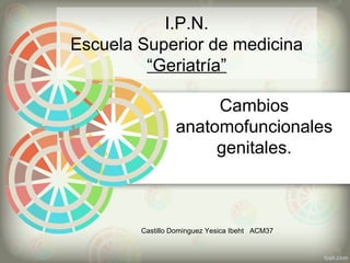 Cambios
anatomofuncionales
genitales.
Castillo Dominguez Yesica Ibeht ACM37
I.P.N.
Escuela Superior de medicina
“Geriatría”
 