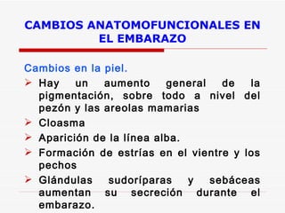 CAMBIOS ANATOMOFUNCIONALES EN EL EMBARAZO Cambios en la piel. Hay un aumento general de la pigmentación, sobre todo a nivel del pezón y las areolas mamarias Cloasma Aparición de la línea alba. Formación de estrías en el vientre y los pechos Glándulas sudoríparas y sebáceas aumentan su secreción durante el embarazo. Red venosa de Haller  