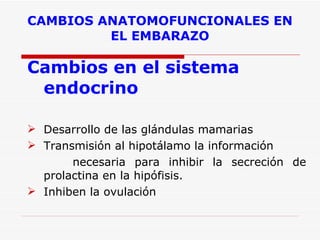 CAMBIOS ANATOMOFUNCIONALES EN EL EMBARAZO Cambios en el sistema endocrino Desarrollo de las glándulas mamarias  Transmisión al hipotálamo la información  necesaria para inhibir la secreción de prolactina en la hipófisis.  Inhiben la ovulación 
