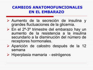   CAMBIOS ANATOMOFUNCIONALES EN EL EMBARAZO Aumento de la secreción de insulina y grandes fluctuaciones de la glicemia. En el 2º-3º trimestre del embarazo hay un aumento de la resistencia a la insulina secundario a la disminución del número de receptores hormonales.  Aparición de calostro después de la 12 semana Hiperplasia mamaria  - estrógenos  