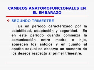 CAMBIOS ANATOMOFUNCIONALES EN EL EMBARAZO SEGUNDO TRIMESTRE Es un período caracterizado por la estabilidad, adaptación y seguridad.  Es en este período cuando comienza la comunicación entre madre e hijo, aparecen los antojos y en cuanto al apetito sexual se observa un aumento de los deseos respecto al primer trimestre.   