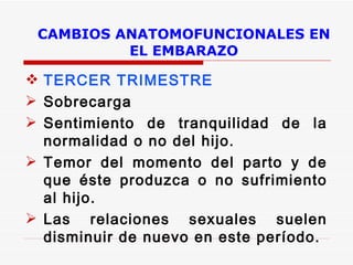 CAMBIOS ANATOMOFUNCIONALES EN EL EMBARAZO TERCER TRIMESTRE Sobrecarga Sentimiento de tranquilidad de la normalidad o no del hijo. Temor del momento del parto y de que éste produzca o no sufrimiento al hijo.  Las relaciones sexuales suelen disminuir de nuevo en este período. 