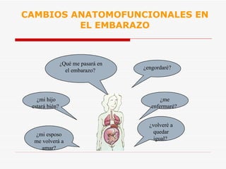CAMBIOS ANATOMOFUNCIONALES EN EL EMBARAZO ¿ Qué me pasará en el embarazo?  ¿engordaré?  ¿me enfermaré?  ¿mi hijo estará bién?  ¿volveré a quedar igual?  ¿mi esposo me volverá a amar? 