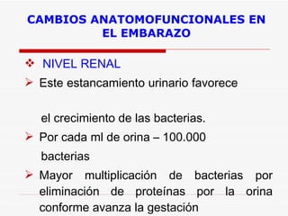 CAMBIOS ANATOMOFUNCIONALES EN EL EMBARAZO NIVEL RENAL  Este estancamiento urinario favorece  el crecimiento de las bacterias.  Por cada ml de orina – 100.000  bacterias Mayor multiplicación de bacterias por eliminación de proteínas por la orina conforme avanza la gestación 