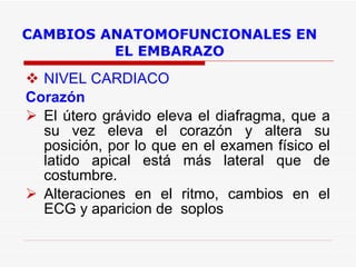 CAMBIOS ANATOMOFUNCIONALES EN EL EMBARAZO NIVEL CARDIACO Corazón El útero grávido eleva el diafragma, que a su vez eleva el corazón y altera su posición, por lo que en el examen físico el latido apical está más lateral que de costumbre. Alteraciones en el ritmo, cambios en el ECG y aparicion de  soplos 