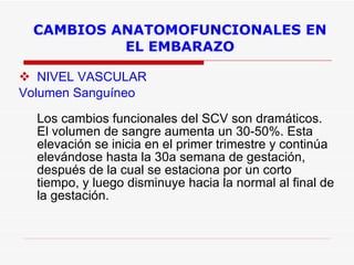 CAMBIOS ANATOMOFUNCIONALES EN EL EMBARAZO NIVEL VASCULAR Volumen Sanguíneo   Los cambios funcionales del SCV son dramáticos. El volumen de sangre aumenta un 30-50%. Esta elevación se inicia en el primer trimestre y continúa elevándose hasta la 30a semana de gestación, después de la cual se estaciona por un corto tiempo, y luego disminuye hacia la normal al final de la gestación.      