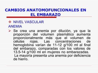 CAMBIOS ANATOMOFUNCIONALES EN EL EMBARAZO NIVEL VASCULAR ANEMIA Se crea una anemia por dilución, ya que la proporción del volumen plasmático aumenta proporcionalmente más que el volumen de células rojas. Las concentraciones de hemoglobina varían de 11-12 g/100 ml al final del embarazo, comparadas con los valores de 13.5-14 g/100 ml en mujeres no embarazadas.   La mayoría presenta una anemia por deficiencia de hierro.  