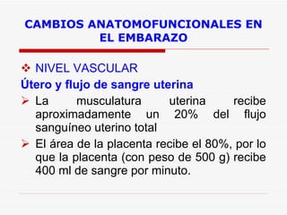 CAMBIOS ANATOMOFUNCIONALES EN EL EMBARAZO NIVEL VASCULAR Útero y flujo de sangre uterina La musculatura uterina recibe aproximadamente un 20% del flujo sanguíneo uterino total El área de la placenta recibe el 80%, por lo que la placenta (con peso de 500 g) recibe 400 ml de sangre por minuto. 
