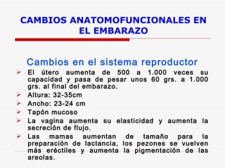 CAMBIOS ANATOMOFUNCIONALES EN EL EMBARAZO Cambios en el sistema reproductor El útero aumenta de 500 a 1.000 veces su capacidad y pasa de pesar unos 60 grs. a 1.000 grs. al final del embarazo.  Altura: 32-35cm Ancho: 23-24 cm  Tapón mucoso La vagina aumenta su elasticidad y aumenta la secreción de flujo.  Las mamas aumentan de tamaño para la preparación de lactancia, los pezones se vuelven más eréctiles y aumenta la pigmentación de las areolas.   