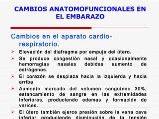 CAMBIOS ANATOMOFUNCIONALES EN EL EMBARAZO Cambios en el aparato cardio-respiratorio. Elevación del diafragma por empuje del útero.  Se produce congestión nasal y ocasionalmente hemorragias nasales debidas aumento de estrógenos. El corazón se desplaza hacia la izquierda y hacia arriba Aumento marcado del volumen sanguíneo 30%, estancamiento de sangre en las extremidades inferiores, produciendo edemas y formación de varices.  El útero también ejerce presión sobre la vena cava inferior produciendo disminución de la tensión arterial, con síntomas de mareo, palidez y frialdad. Hemoglobina 11.5 mg/dl y 12 mg/dl  