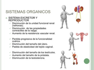 SISTEMAS ORGANICOS
 SISTEMA EXCRETOR Y
REPRODUCTOR
 Disminución de la unidad funcional renal
(nefronas).
 Disminución de las propiedades
contráctiles de la vejiga.
 Aumento de la resistencia vascular renal.
 Perdida progresiva de la funcionalidad
ovárica.
 Disminución del tamaño del útero.
 Pedida de elasticidad del tejido vaginal.
 Disminución del tamaño de los testículos.
 Aumento del tamaño de la próstata.
 Disminución de la testosterona.
 