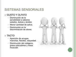 SISTEMAS SENSORIALES
 GUSTO Y OLFATO
 Disminución de la
sensibilidad a sabores
salados, dulces y ácidos.
 Menor cantidad de saliva.
 Disminución en la
discriminación de olores.
 TACTO
 Aparición de arrugas,
manchas, flacidez, sequedad.
 Disminución del colágeno,
grasa subcutánea y masa
muscular.
 