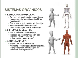 SISTEMAS ORGANICOS
 ESTRUCTURA MUSCULAR
 Se produce una importante perdida de
masa muscular y atrofia de las fibras
musculares.
 Disminuye el peso, numero y diámetro.
 Enlentecimiento de los reflejos
musculares y perdida de flexibilidad.
 SISTEMA ESQUELETICO
 Disminución de la masa ósea.
 Proceso de desmineralización con
fragilidad ósea, porosidad y
vulnerabilidad a la fractura.
 ARTICULACIONES
 Reducción de la flexibilidad.
 Aumento de la rigidez articular debida a
la degeneración de cartílagos, los
tendones y los ligamentos.
 
