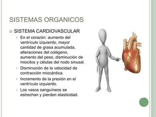SISTEMAS ORGANICOS
 SISTEMA CARDIOVASCULAR
 En el corazón: aumento del
ventrículo izquierdo, mayor
cantidad de grasa acumulada,
alteraciones del colágeno,
aumento del peso, disminución de
miocitos y células del nodo sinusal.
 Disminución de la velocidad de
contracción miocárdica.
 Incremento de la presión en el
ventrículo izquierdo.
 Los vasos sanguíneos se
estrechan y pierden elasticidad.
 