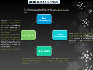 Adolescencia Temprana
Área
psicomotora
Área
cognoscitiva
Área social
Área afectiva
El adolescente de esta edad se muestra muy inquieto, ansioso,
torpe, continuos cambios de posturas y su necesidad de actividad
física
Nueva percepción de sí mismo y
del ambiente, su capacidad de
pensar formalmente lo vuelve
critico, ingresar a un mundo de
reflexiones y de pensamientos
abstractos
La separación emocional de los padres, busca una autoafirmación,
requiere autoidentificarse con personas fuera del hogar y
reemplazar así las figuras familiares, es entusiasta en el
aprendizaje.
Aparece un aumento
cualitativo de la presión
instintiva, este impulso
sexual aún no cuenta con
un objeto sexual, por lo
que se libera a través de
la masturbación,
somatización o
sublimación. En la joven,
la tensión sexual se libera
por medio de fantasías,
sueños y proyecciones.
Cuando la amistad frente
al amigo cede al impulso
sexual, se da la relación
homosexual.
Gradualmente se inicia la
separación de los padres
 