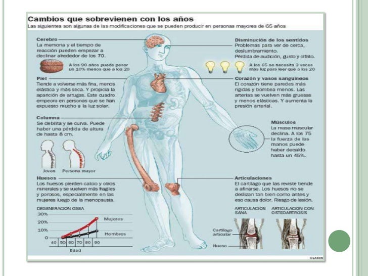 Cambios Biologicos En El Adulto Mayor
