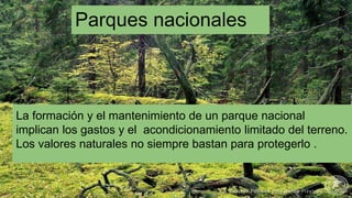 Parques nacionales
La formación y el mantenimiento de un parque nacional
implican los gastos y el acondicionamiento limitado del terreno.
Los valores naturales no siempre bastan para protegerlo .
 