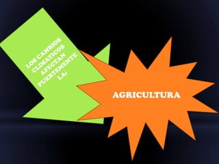 AGRICULTURA
 