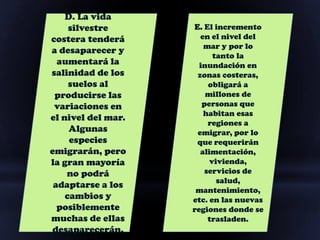 D. La vida
     silvestre      E. El incremento
costera tenderá       en el nivel del
                       mar y por lo
a desaparecer y
                          tanto la
  aumentará la        inundación en
salinidad de los     zonas costeras,
     suelos al           obligará a
 producirse las         millones de
 variaciones en        personas que
                       habitan esas
el nivel del mar.
                         regiones a
     Algunas         emigrar, por lo
     especies        que requerirán
emigrarán, pero       alimentación,
la gran mayoría          vivienda,
    no podrá            servicios de
                           salud,
 adaptarse a los
                     mantenimiento,
    cambios y       etc. en las nuevas
  posiblemente      regiones donde se
muchas de ellas          trasladen.
desaparecerán.
 