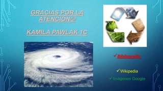GRACIAS POR LA
ATENCIÓN
KAMILA PAWLAK 1C
Bibliografía:
Wikipedia
Imágenes Google
 