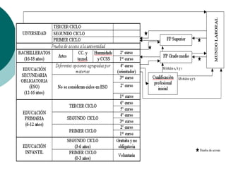 Estructura Organizativa LOE