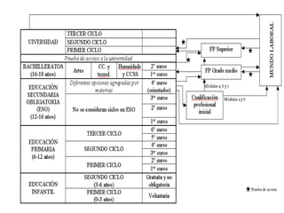 Estructura Organizativa LOE

 