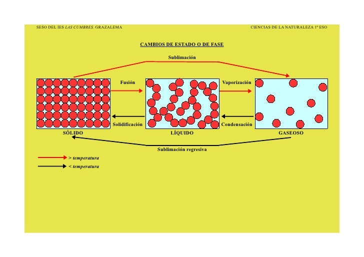 download Decontamination of Fresh and Minimally