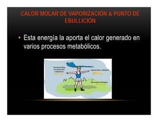 CALOR MOLAR DE VAPORIZACIÓN & PUNTO DE
             EBULLICIÓN

• Esta energía la aporta el calor generado en
  varios procesos metabólicos.
 
