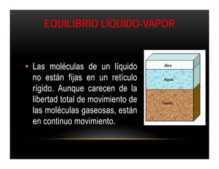 EQUILIBRIO LÍQUIDO-VAPOR


• Las moléculas de un líquido
  no están fijas en un retículo
  rígido. Aunque carecen de la
  libertad total de movimiento de
  las moléculas gaseosas, están
  en continuo movimiento.
 