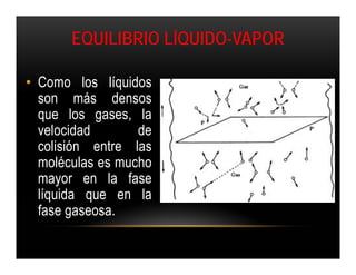 EQUILIBRIO LÍQUIDO-VAPOR

• Como los líquidos
  son más densos
  que los gases, la
  velocidad       de
  colisión entre las
  moléculas es mucho
  mayor en la fase
  líquida que en la
  fase gaseosa.
 