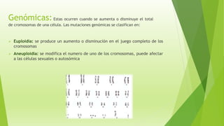 Genómicas: Estas ocurren cuando se aumenta o disminuye el total
de cromosomas de una célula. Las mutaciones genómicas se clasifican en:
 Euploidia: se produce un aumento o disminución en el juego completo de los
cromosomas
 Aneuploidia: se modifica el numero de uno de los cromosomas, puede afectar
a las células sexuales o autosómica
 