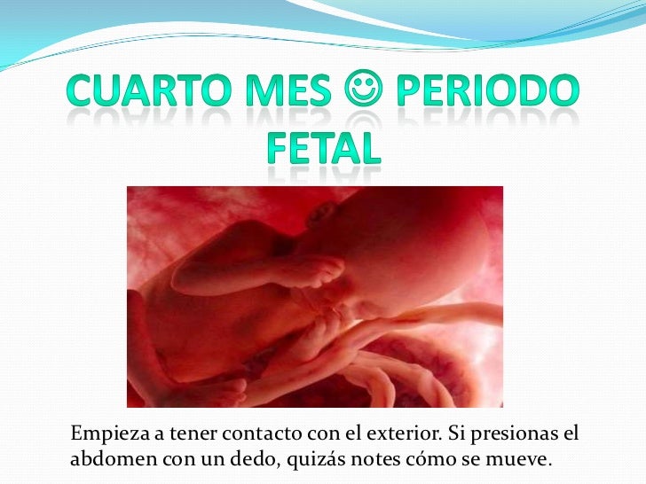 cuarto embarazo - 28 images - el beb 233 en el cuarto mes de ... cuarto embarazo - 28 images - el beb 233 en el cuarto mes de ...