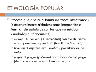 ETIMOLOGÍA POPULAR
 Proceso que altera la forma de voces ‘inmotivadas’
(estructuralmente aisladas) para integrarlas a
familias de palabras con las que no estaban
vinculadas históricamente)
 cerrojo < berrojo (< verruculum) “objeto de hierro
usado para cerrar puertas” (familia de “cerrar”)
 tinieblas < esp.medieval tiniebras, por atracción de
niebla
 pulgar < polgar (pollicare) por asociación con pulga
(dedo con el que se mataban las pulgas)
 