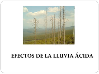 EFECTOS DE LA LLUVIA ÁCIDA
 