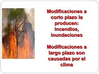 Modificaciones a
 corto plazo la
   producen:
   incendios,
 inundaciones

Modificaciones a
largo plazo son
causadas por el
     clima
 
