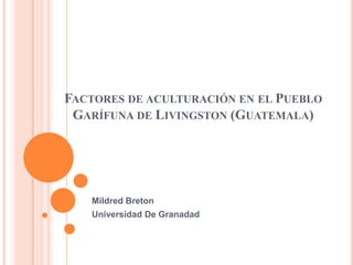 FACTORES DE ACULTURACIÓN EN EL PUEBLO
 GARÍFUNA DE LIVINGSTON (GUATEMALA)




   Mildred Breton
   Universidad De Granadad
 