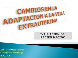Anne Castañeda Fuentes Servicio de Neonatología H.N.G.A.I. 