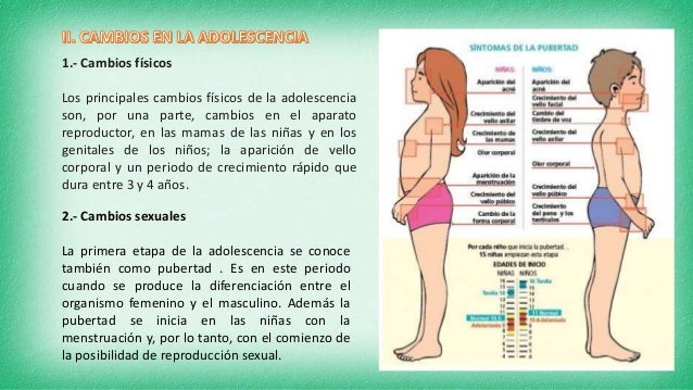 La adolescencia - pubertad
