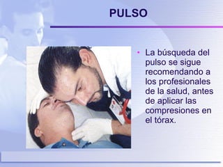 PULSO La búsqueda del pulso se sigue recomendando a los profesionales de la salud, antes de aplicar las compresiones en el tórax.   