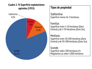 Subfamiliar 0,3% 
Familiar 7,1% 
Mediano 11,4% 
Grande 81,2% 
Cuadro 2. % Superficie explotaciones agrícolas (1955) 
Tipos de propiedad Subfamiliar. Superficie menor de 5 hectáreas. Familiar. Superficie entre 5-20 hectáreas (Zona Central) y de 5-50 hectáreas (Zona Sur). Mediano. Superficie entre 20-200 hectáreas (Zona Central) y de 50-200 hectáreas (Zona Sur). Grande. Superficie sobre 200 hectáreas. En Magallanes, es sobre 5.000 hectáreas.  
