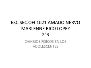 ESC.SEC.OFI 1021 AMADO NERVOMARLENNE RICO LOPEZ2°B CAMBIOS FISICOS EN LOS ADOLESCENTES 