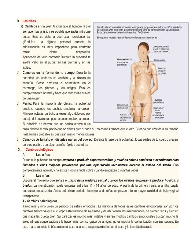Las revocaciones sobre ekspandere para el aumento del miembro