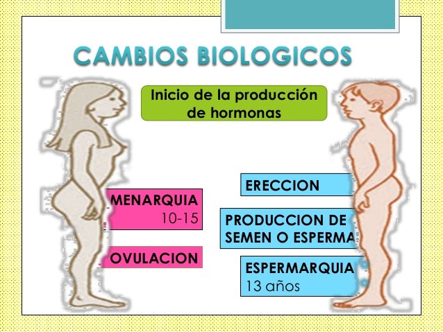 Resultado de imagen para cambios en la adolescencia