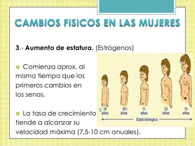 La máscara para la persona de los puntos negros sobre la miel