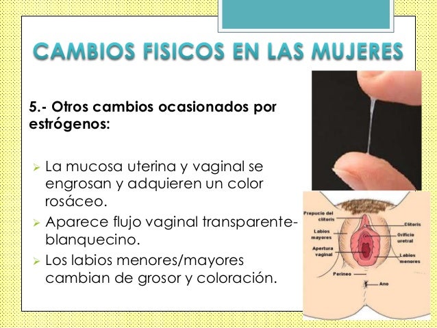 Cambios Fisicos Psicologicos Y Sociales En El Adolescente