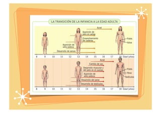 Cambios físicos y emocionales en la adolescencia | PDF
