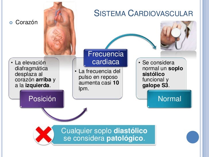 Cambios Fisiológicos Del Embarazo
